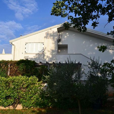 Ferienwohnung App Segi Novigrad Istria Exterior foto