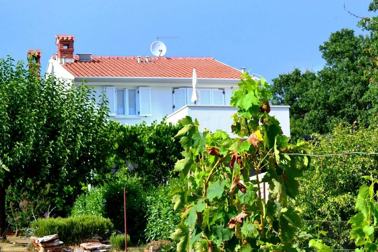 Ferienwohnung App Segi Novigrad Istria Exterior foto